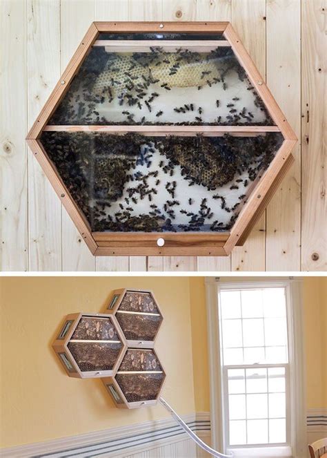 hexagonal wall hanging beehive
